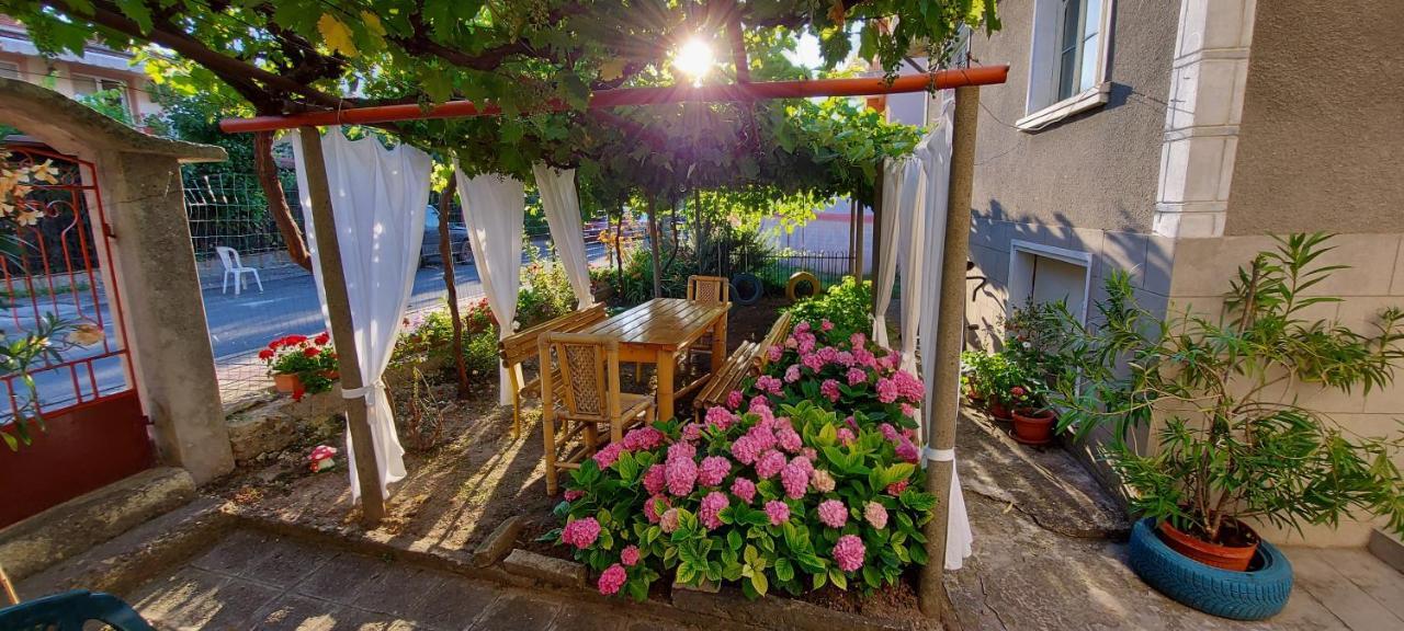 Guest House Nikolovi Lozenec Kültér fotó